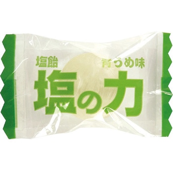 塩飴”塩の力” 袋タイプ TRUSCO