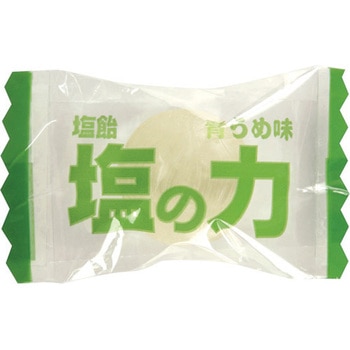 塩飴”塩の力” 袋タイプ TRUSCO