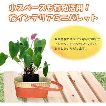 桧 インテリアパレット 池川木材工業