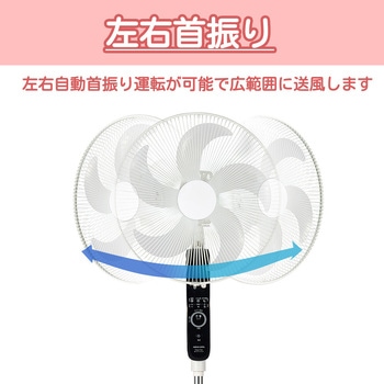 リモコン付きACフロアー扇風機 アピックス