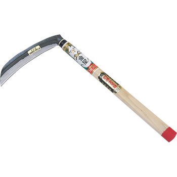 #100053 ʐ p  16420188