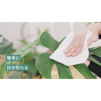 マイプランツ 葉をきれいにするシート 住友化学園芸