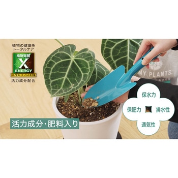 マイプランツ 健やかに育てるソイル観葉植物用 - 住友化学園芸