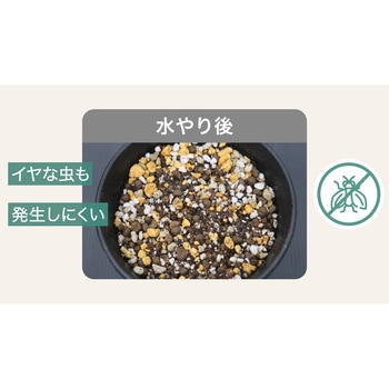 マイプランツ 健やかに育てるソイル観葉植物用 - 住友化学園芸