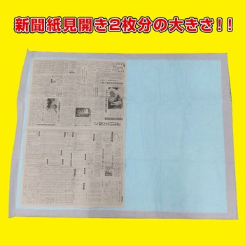 ペットシーツ 120×90cm 超でかっ!! サラ・シート うす型 日本製 - 第一衛材