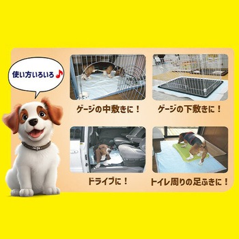 ペットシーツ 120×90cm 超でかっ!! サラ・シート うす型 日本製 - 第一衛材