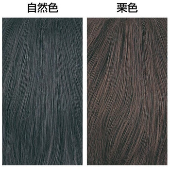 人毛100%大きめヘアピース ファミリー・ライフ