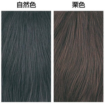 人毛100%大きめヘアピース ファミリー・ライフ