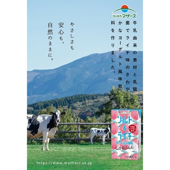 ソルト&ライチヨーグルト風味 らくのうマザーズ