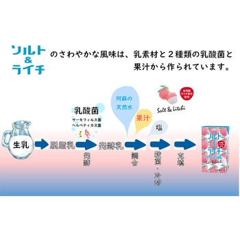 ソルト&ライチヨーグルト風味 らくのうマザーズ