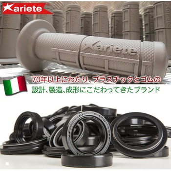 フォークオイルシール Φ35 アリート(ariete)