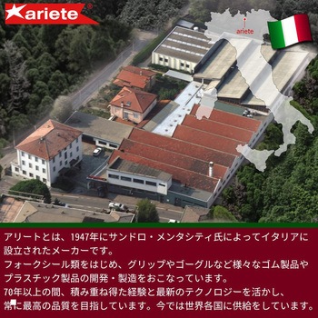 フォークオイルシール Φ35 アリート(ariete)