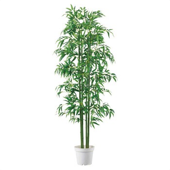 夏の装飾品 七夕笹バンブー高さ180cm (人工観葉植物) ストア・エキスプレス