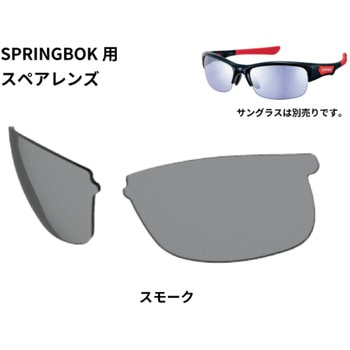 スペアレンズ SPRINGBOK SWANS