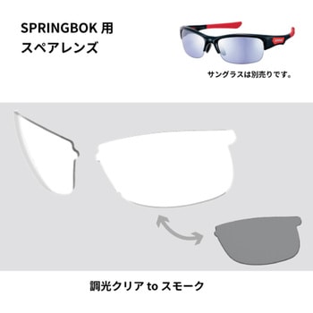 スペアレンズ SPRINGBOK SWANS