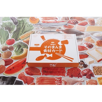 実物大・そのまんま食材カード 第3版 群羊社