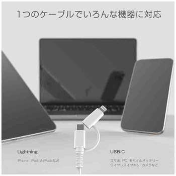 Lightning変換コネクタ付 C-Cケーブル WH - カシムラ