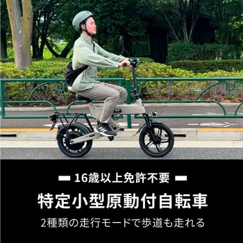 特定小型原動機付自転車 電動バイク WEZONE