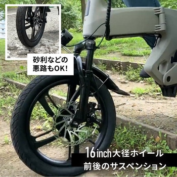 特定小型原動機付自転車 電動バイク WEZONE