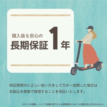 特定小型原動機付自転車 電動バイク WEZONE