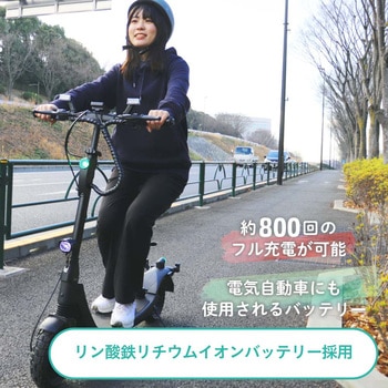 特定小型原動機付自転車 サドル付きタイプ WEZONE