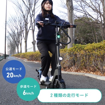 特定小型原動機付自転車 サドル付きタイプ WEZONE