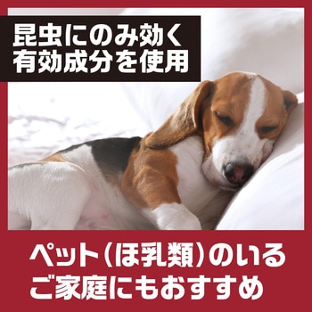 アースガーデン シロアリの巣撃滅 アース製薬