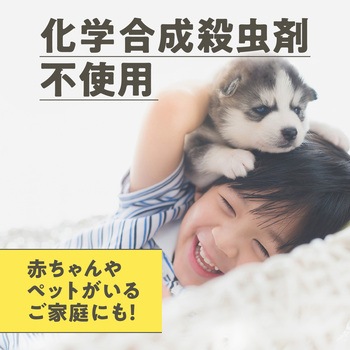 マモルームエッセンス 虫よけ吊るタイプ アース製薬
