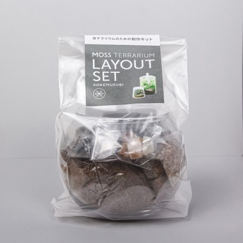 苔テラリウムレイアウトセット【ボウル2L】 苔むすび