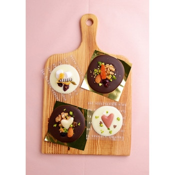 ココットシート T-英字マット cotta