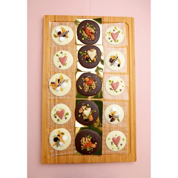 ココットシート T-英字マット cotta