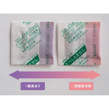 エバーフレッシュ VQ-30(100×60) cotta