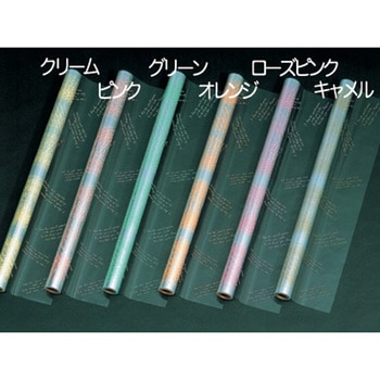 センテンスカラー オレンジ cotta