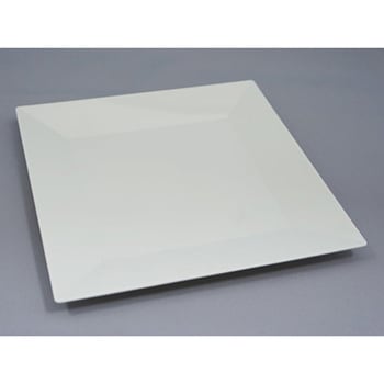 角皿20 白磁 本体のみ cotta