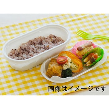 CTなごみ M20-10 W 身 cotta