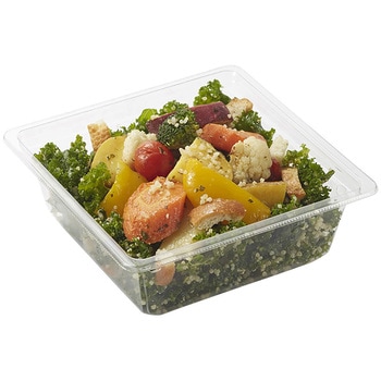 バイオカップキューブ 17-60B cotta