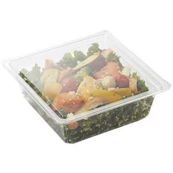 バイオカップキューブ 17-60B cotta