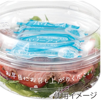 バイオカップ 129パイ 中皿 浅 - cotta