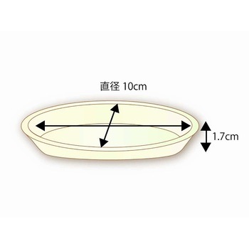 徳用バガスプレート GP-10 cotta