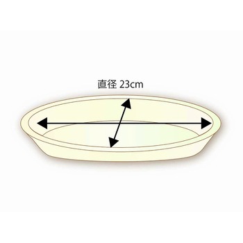 徳用バガスプレート GPF-23 - cotta