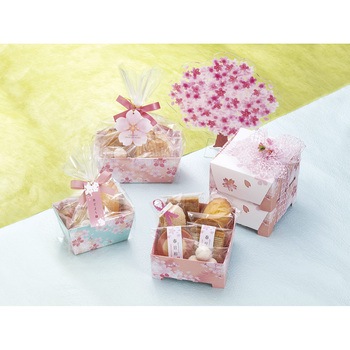 ギフト箱 さくらびより(専用袋付) cotta