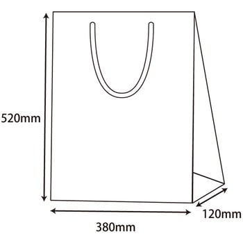 ブライトバッグ KA 紫紺 cotta