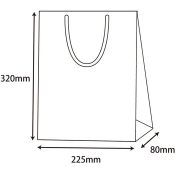 ブライトバッグ SWT 黒 cotta