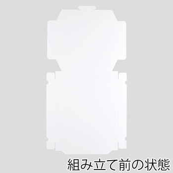 スワン ピザ箱 12インチ用 白無地 cotta