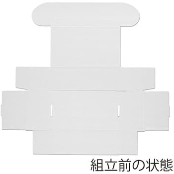 フリーBOX cotta