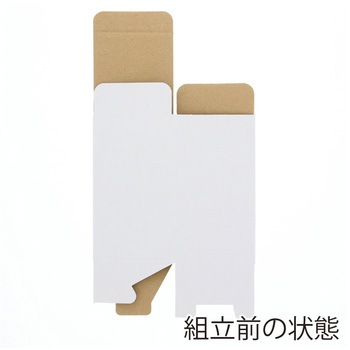 フリーBOX cotta