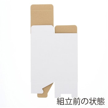 フリーBOX cotta