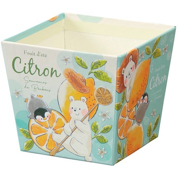 ギフト箱 なかよしレモン - cotta