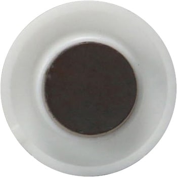 カラーマグネット 30mm  6個入り モノタロウ