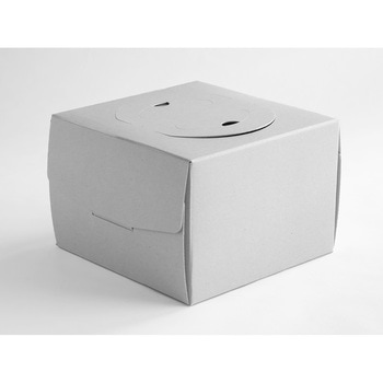 cotta デコ箱 フォググレー 5寸 H130 cotta